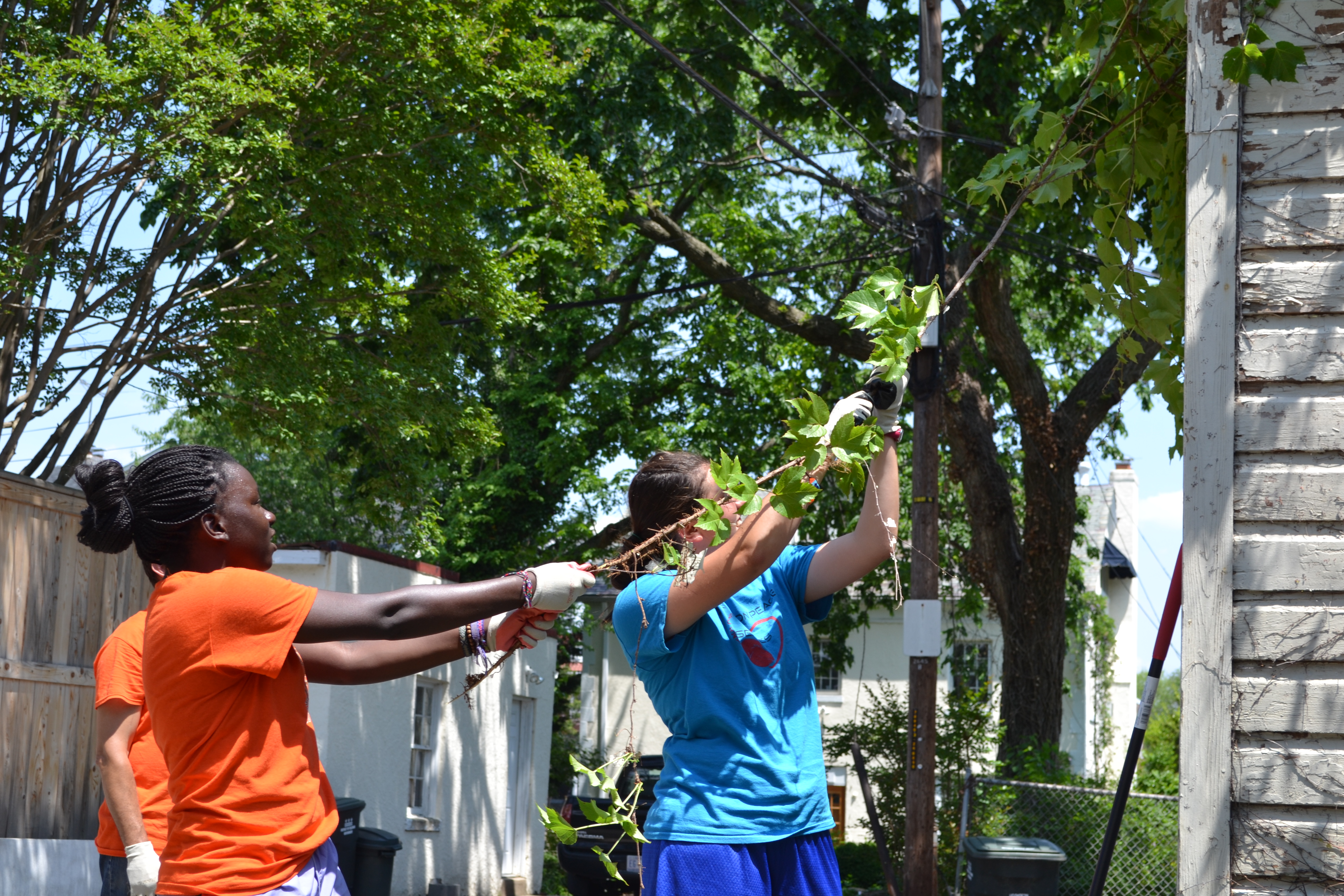 Service Project 4